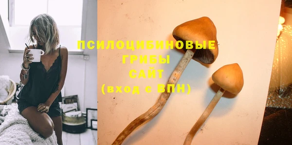 индика Семикаракорск