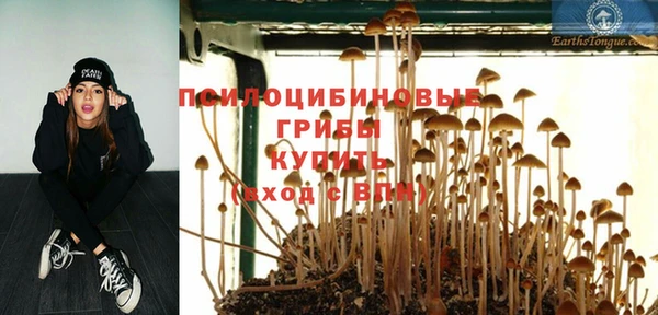 гидропоника Семилуки