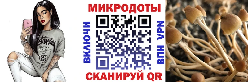 Галлюциногенные грибы GOLDEN TEACHER  наркошоп  Магас 